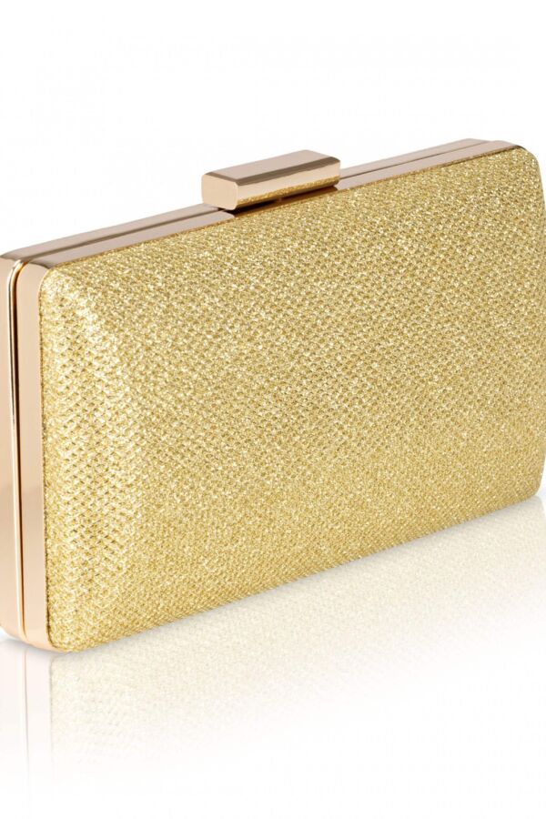 glitter clutch