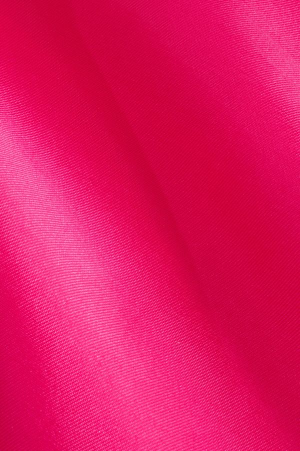 Fuchsia Mikado