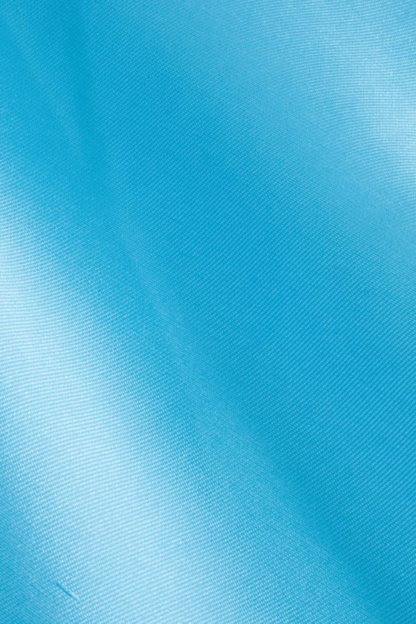 Sky Blue Mikado