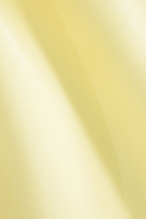 Yellow Mikado