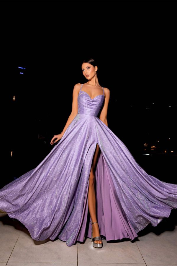 Nc2029violet 2 Scaled