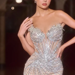 Whitney Gown by Gossip Gowns in nude and silver crystal embellishment