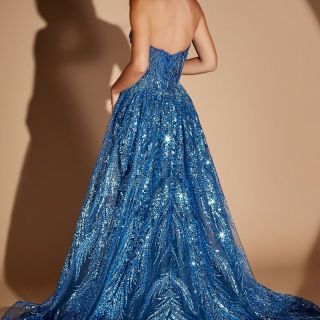Ashton Gown4