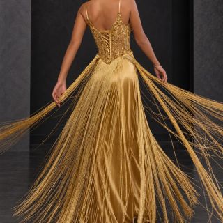 Daisy Gold Fringe Gown Back View