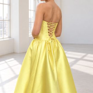 Francesca Yellow Mikado Back